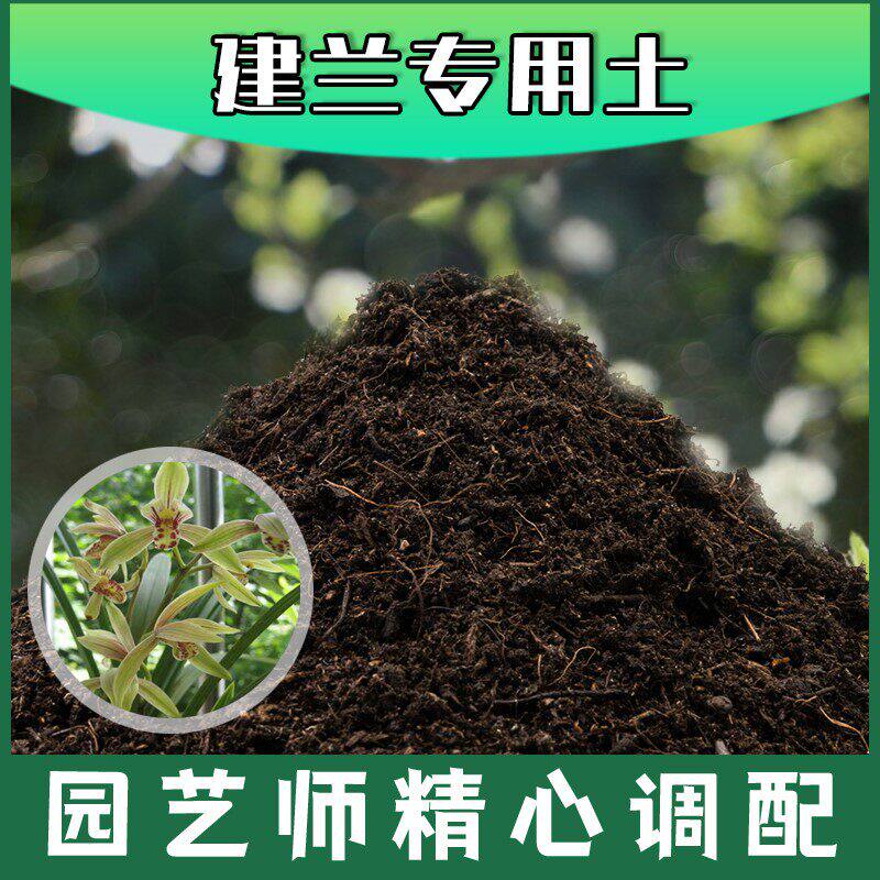 建兰专用土腐殖土种花养花盆栽绿植通用土建兰营养土种植有机土壤