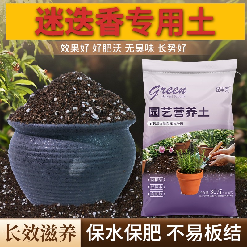 迷迭香适用盆景土不闷根室内加有机肥天然增色木本栽培土花园菜园