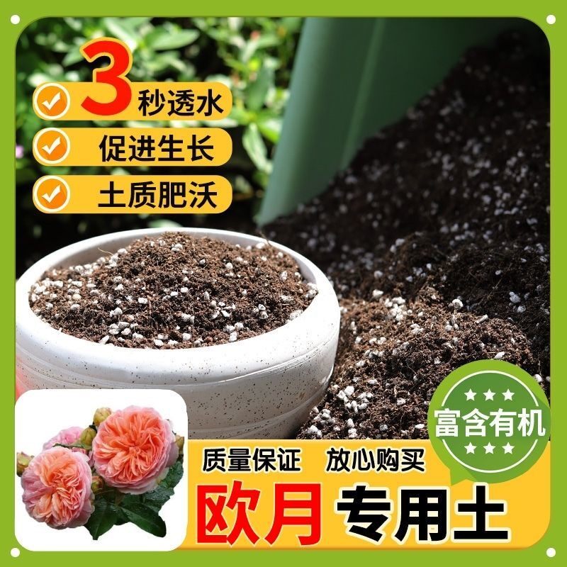 【欧月专用土】家用盆栽土加生根粉绿植专用有机植物营养肥料土