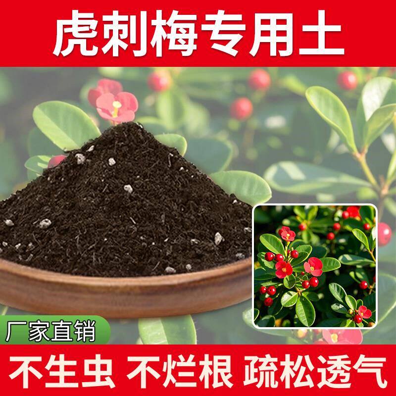 虎刺梅专用土植物栽培土盆栽专用土种植土花土种菜发酵土壤绿植