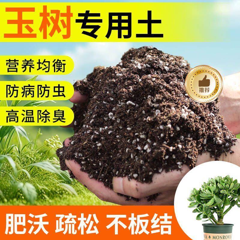 玉树专用土营养土盆栽种植土壤种花土养花土绿萝育苗土兰花土肥料
