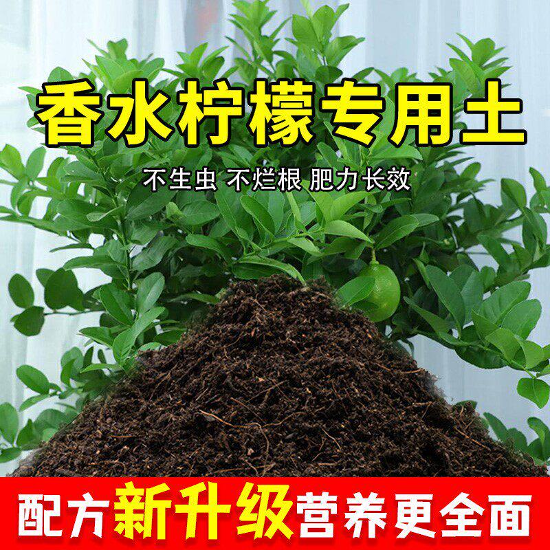香水柠檬专用土柠檬营养土肥料家庭种花盆栽土养花有机土壤种植土