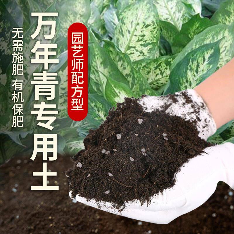 万年青专用土肥料花卉泥土万年青营养土植物椰砖养花阳台透气土壤