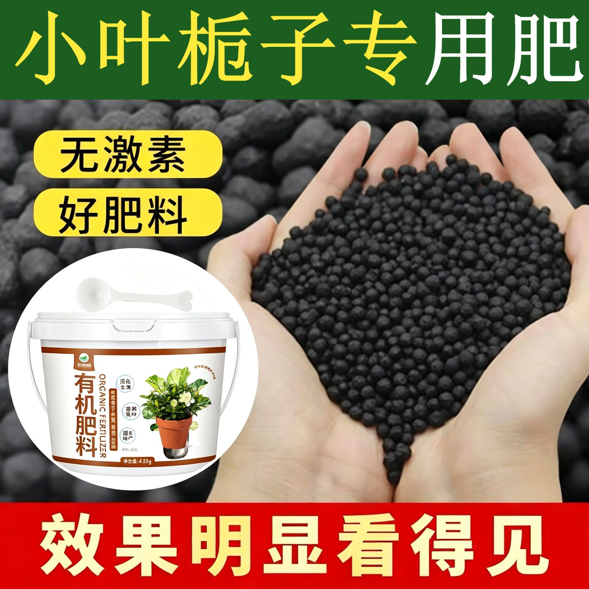 小叶栀子适用肥复合肥根壮苗好园艺底肥花肥叶片肥厚有机肥养花肥
