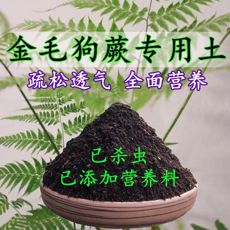 金毛狗蕨专用土蕨类土盆栽营养土酸性沙质泥炭土壤绿植种植土肥料