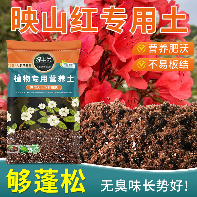 映山红适用轻质土不易板结盆栽营养土洁净基质增色家用装观叶养花