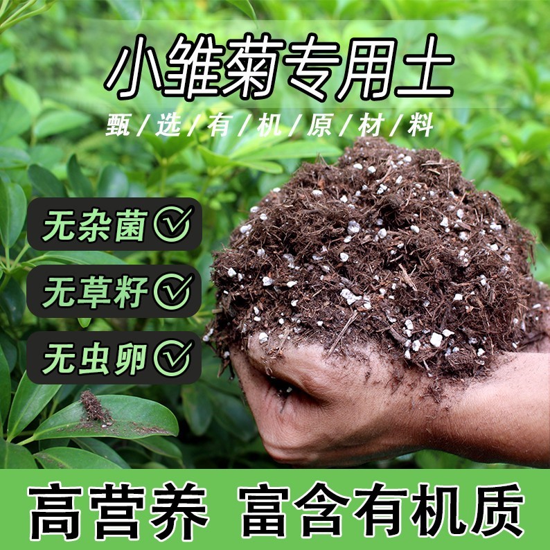 小雏菊专用轻质基质土不板结扦插盆栽土优质多肉种植土屋顶精选