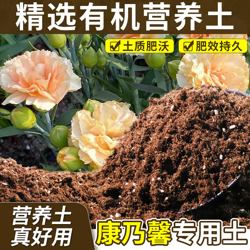 康乃馨专用花土不板结地栽种植土经久耐用增色无草籽多肉壮根绿植