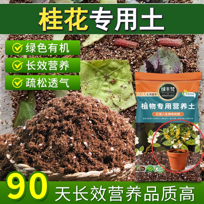 桂花专用土壤不易板结多肉营养土不易粉化稳定土团开袋即用木本