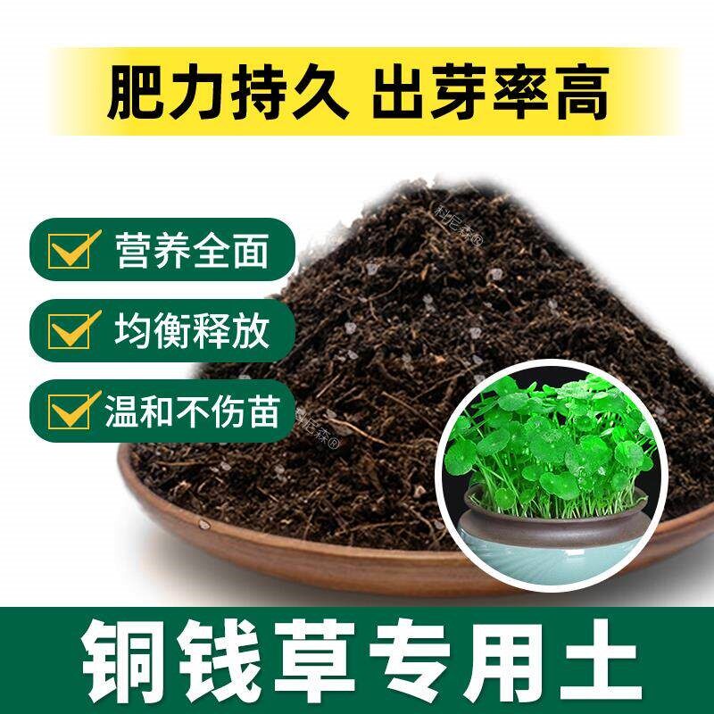 铜钱草专用土肥料家庭盆栽土壤铜钱草营养土室内花草育苗有机花土