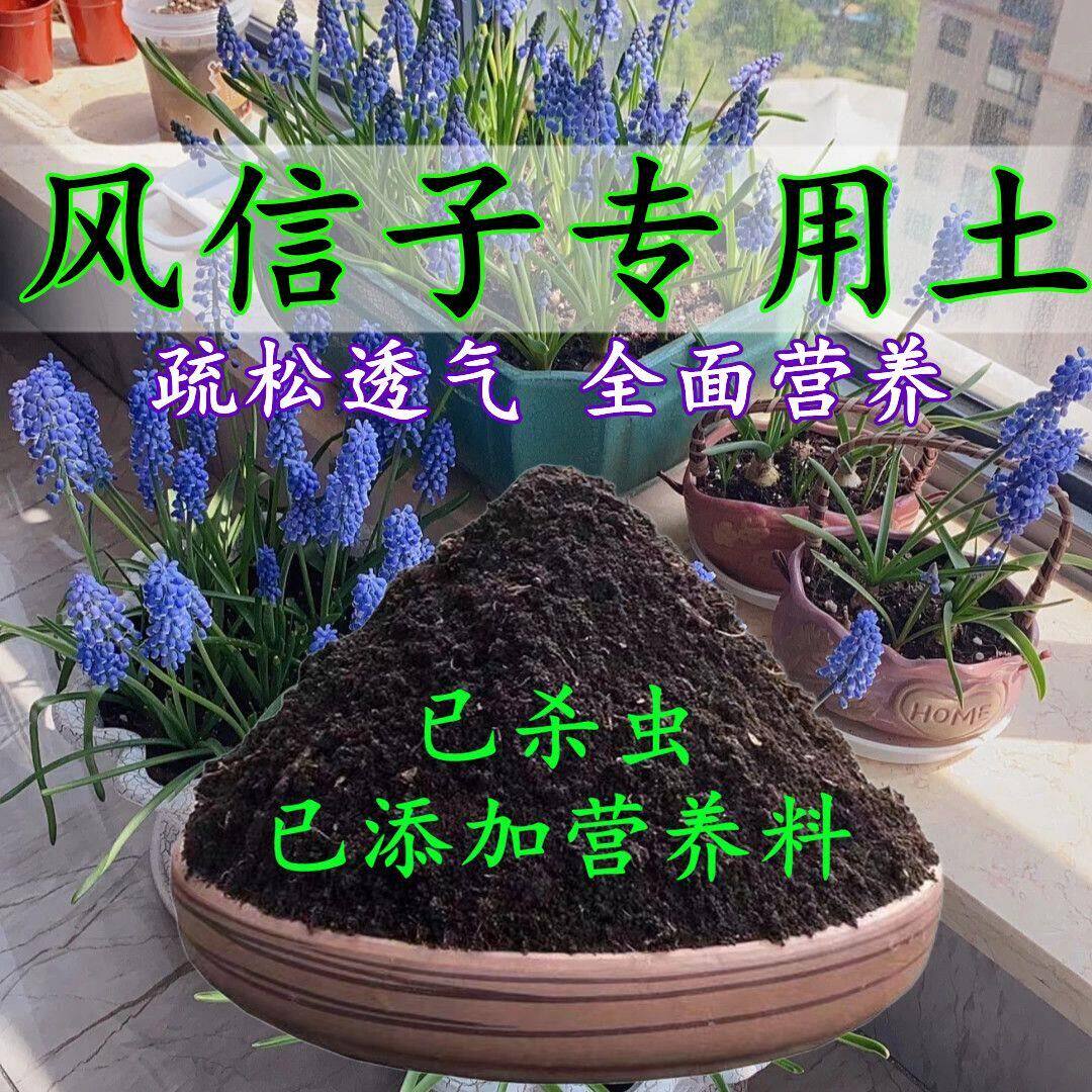 风信子土风信子专用土家用盆栽营养土酸性泥碳土壤绿植种植土肥料