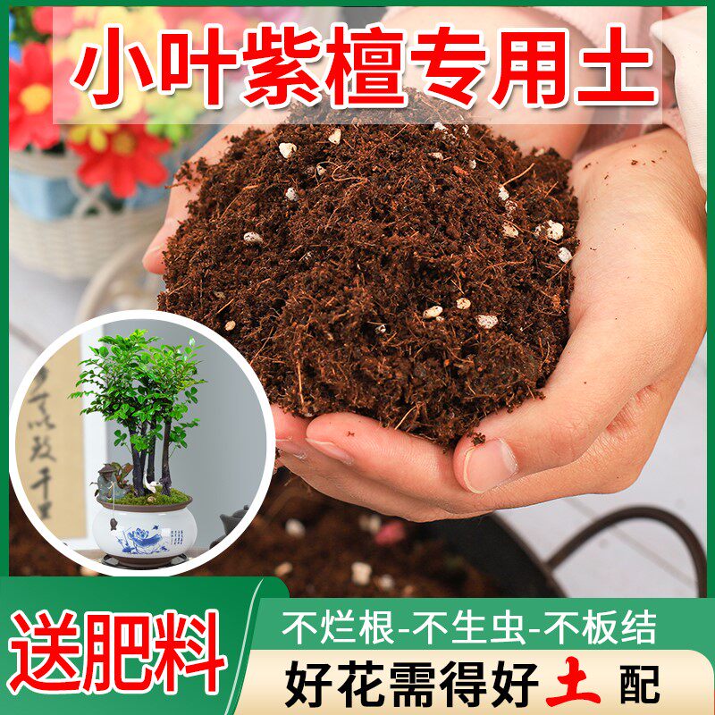 小叶紫檀专用土绿植专用营养土家用盆栽花卉腐殖扦插泥炭营养肥土