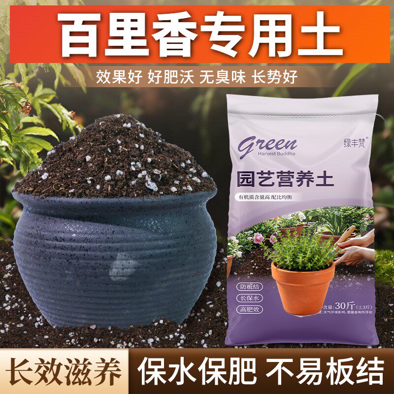 百里香适用养花土保水保肥扦插包邮精选绿叶多肉盆栽壮根园艺有机