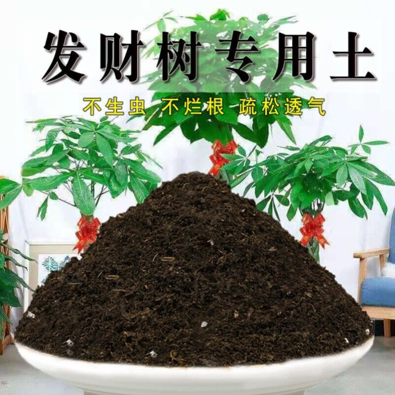发财树专用土天然发财树营养土有机土花卉泥土椰砖多肉土有机肥