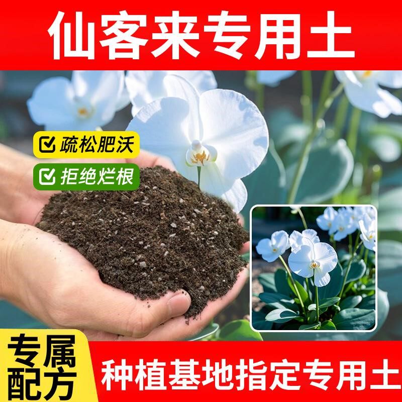 仙客来专用土养花种菜土泥土植物仙客来专用营养土花盆疏松室内
