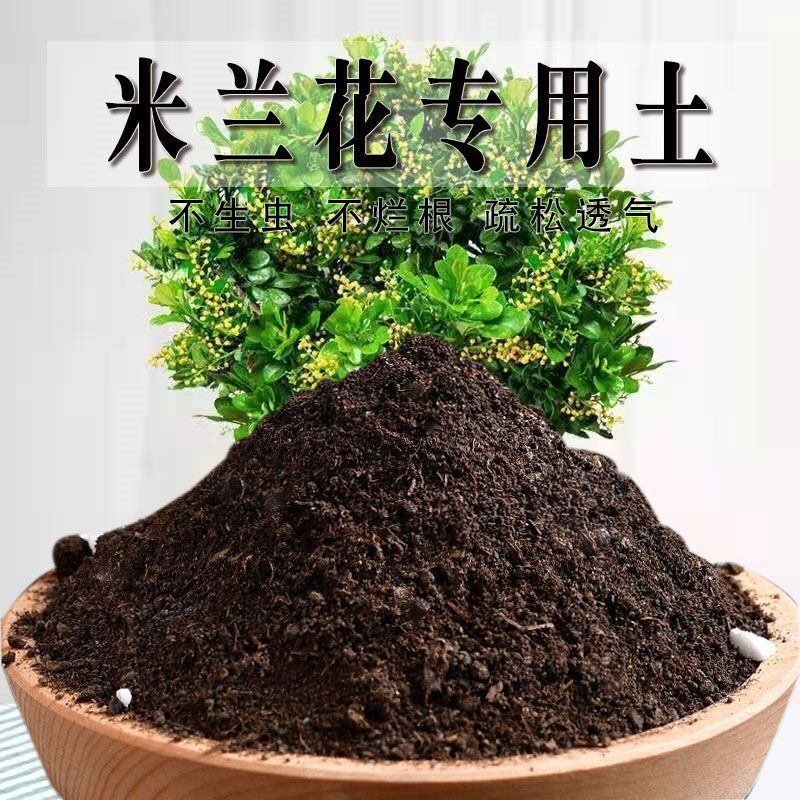 米兰花专用土米兰花专用营养土通用型种花土家庭绿植盆栽土壤透气图片