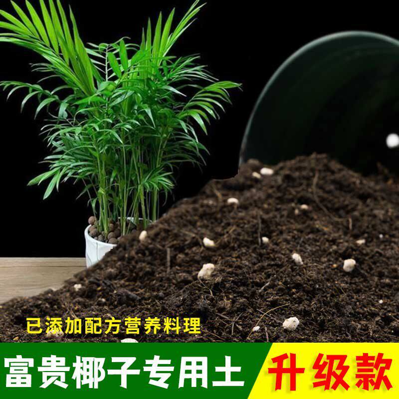 富贵椰子专用土有机土肥料家用种植土富贵椰子营养土盆栽养花包邮