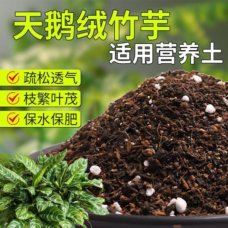 【天鹅绒竹芋专用土】疏松透气盆栽绿植专用室内植物有机营养土肥