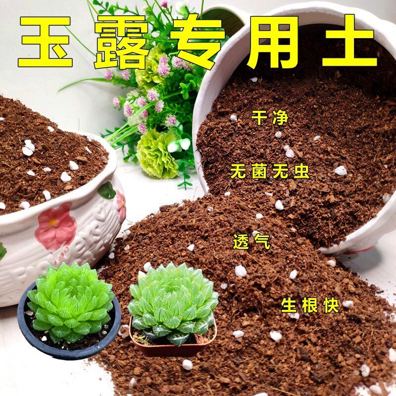 玉露专用土多肉营养土通用型黑法师肉肉培植土壤透气花泥花卉植料