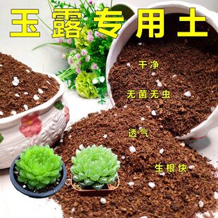 玉露专用土多肉营养土通用型黑法师肉肉培植土壤透气花泥花卉植料