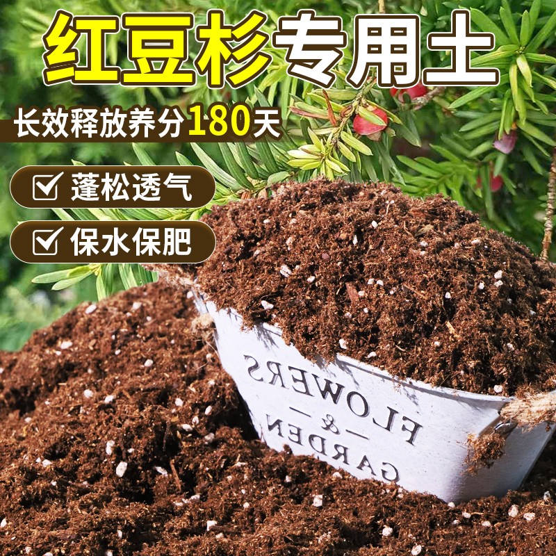 红豆杉专用轻质有机土干净无杂花园营养土性质稳定壮根无草籽喜酸