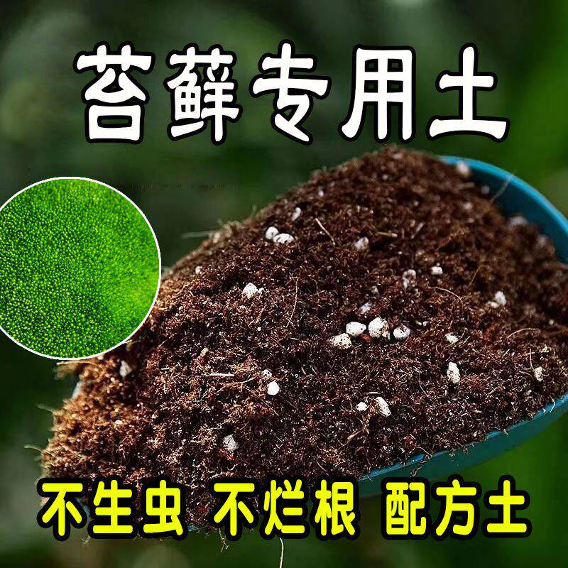 苔藓专用营养土 苔藓专用土 盆栽通用型种花养花绿植种植土有机土
