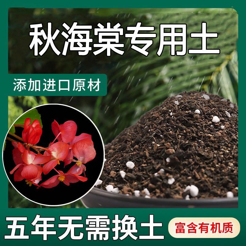 秋海棠专用土秋叶海棠花观叶植物沙土肥料鳟鱼秋专用营养土花卉土