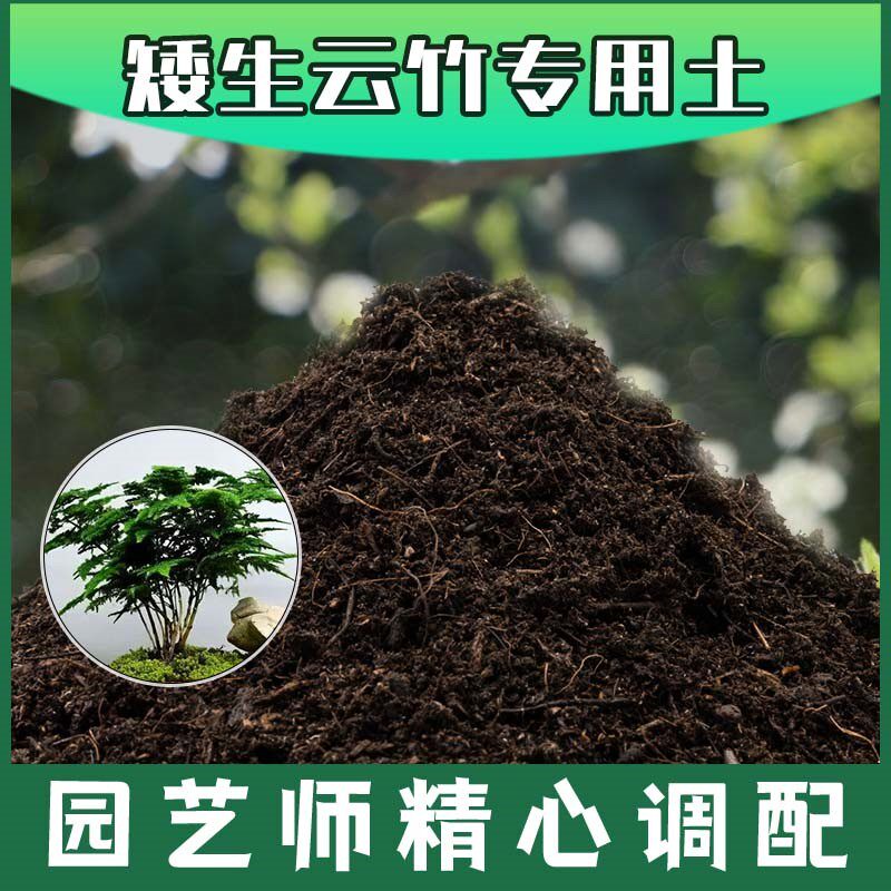 矮生云竹专用土有机土肥料家用种植土矮生云竹营养土盆栽养花包邮