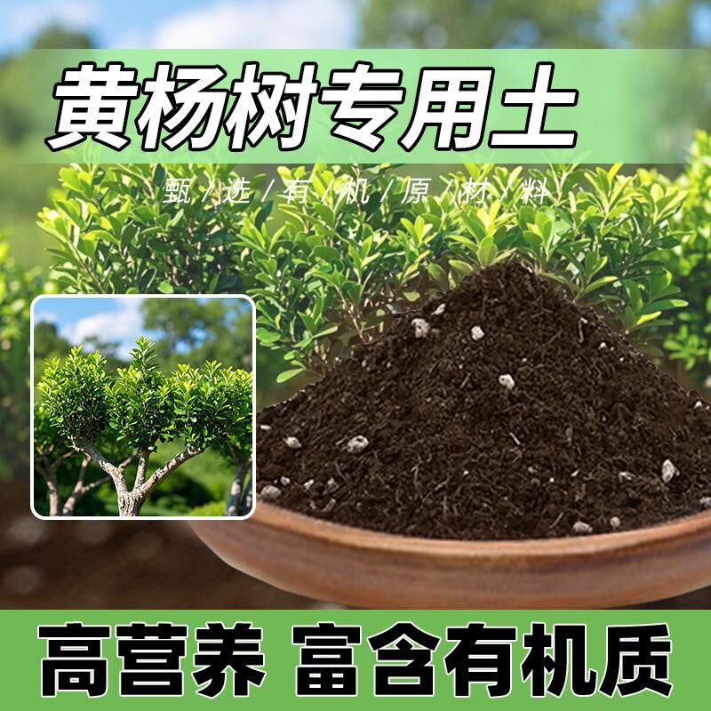 黄杨树专用土蓬松室内养花专用土营养土园艺有机有机土栽培土天然
