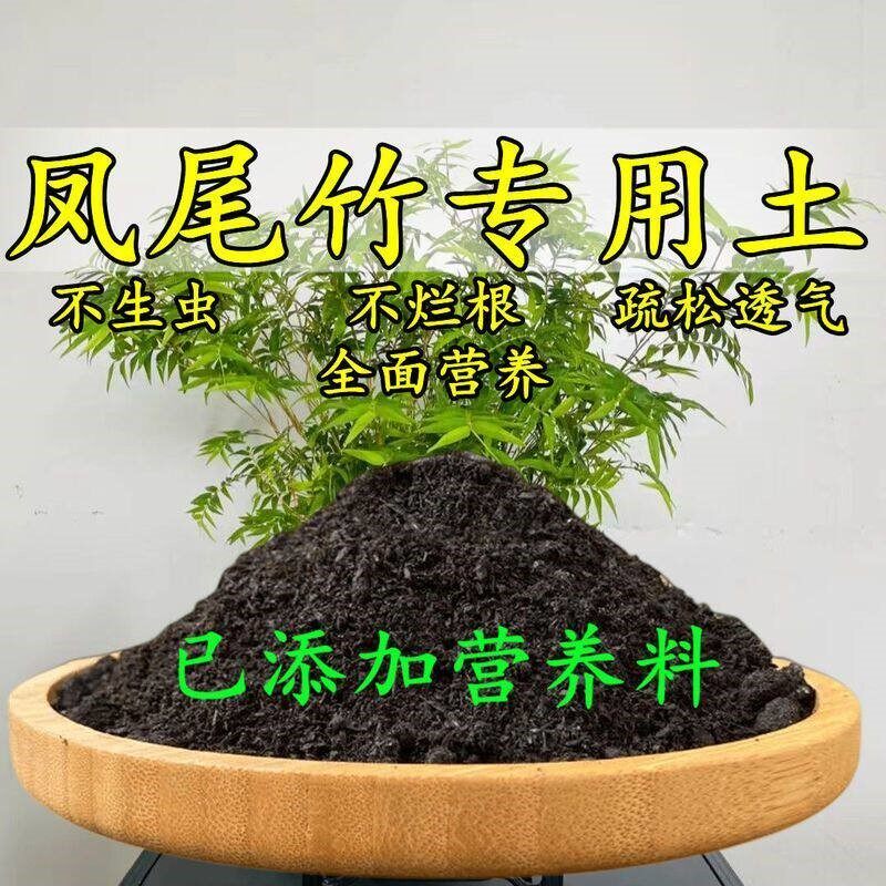 凤尾竹专用土散尾葵专用营养土盆栽土养花种花土通用种植土壤肥料