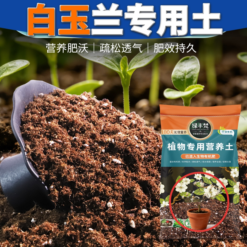 白玉兰专用种植土营养土防烂根蓬松多孔育苗盆栽通用土基质土阳台
