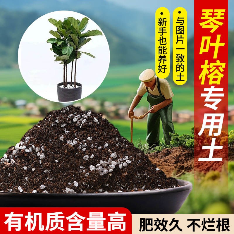 琴叶榕营养土专用土透气疏松含泥炭肥料通用有机种植土适用土批发