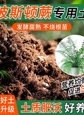 波斯顿蕨专用土种植士营养土家庭阳台养花盆栽绿植轻质有机肥料土