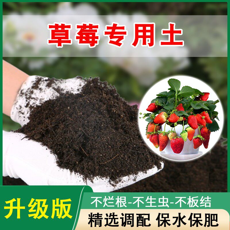 草莓专用土阳台草莓营养土种植土有机专用肥料盆栽草莓苗土壤泥土