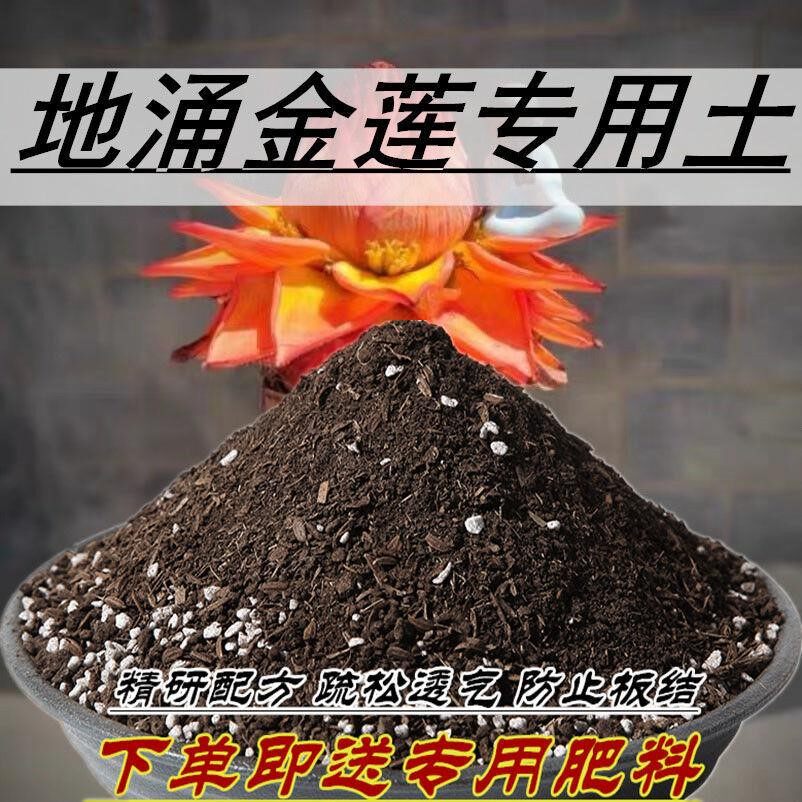 地涌金莲专用土地涌金莲有机营养土通用型家用养花土壤
