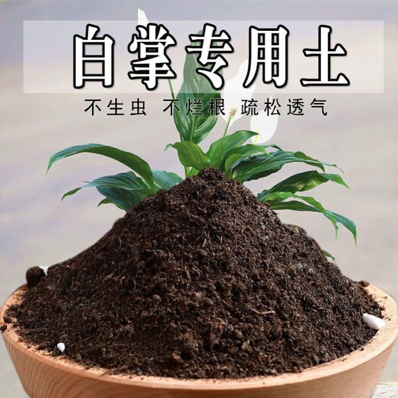 白掌专用土疏松植物盆栽栽培土花卉家庭天然白掌专用营养土有机土