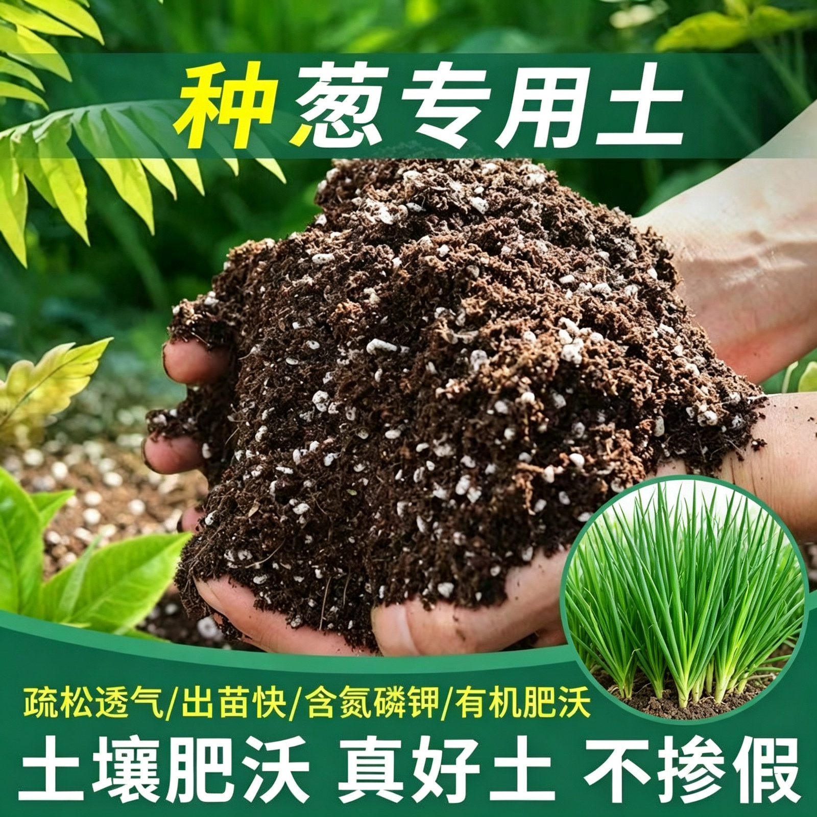 种葱专用土轻质泥炭土蓬松透气出苗快阳台种菜营养土有机种植土