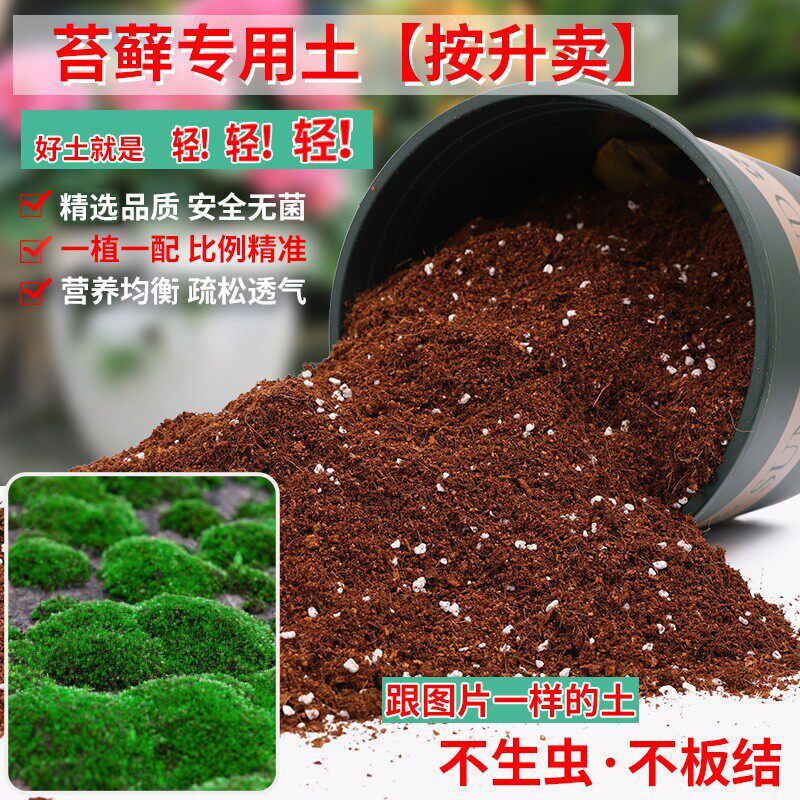 苔藓专用土轻质土青藓盆栽通用养花营养土种花有机肥料种植土壤