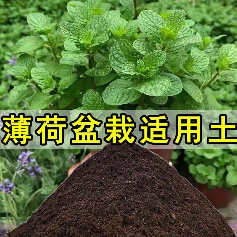 薄荷专用土薄荷营养土盆栽种植土种花养花土花卉土有机土薄荷土壤