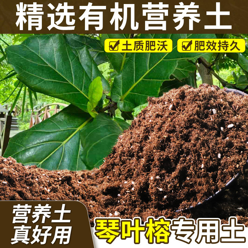 琴叶榕专用有机土体验款稳定降低闷土概率开袋即用茎条健壮