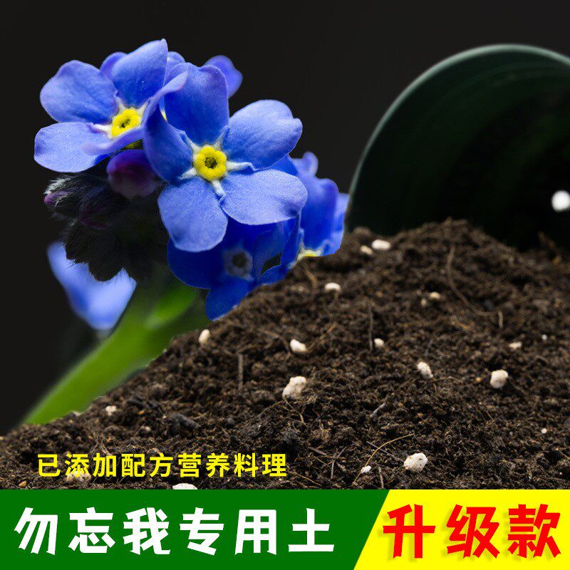 勿忘我专用土勿忘我营养土有机土肥料家用种植土盆栽种花养花泥土