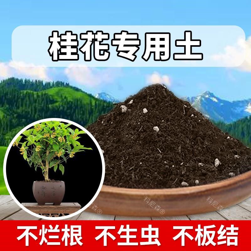 桂花专用土酸性花盆土桂花专用肥料营养土蓬松盆栽土壤绿植有机土