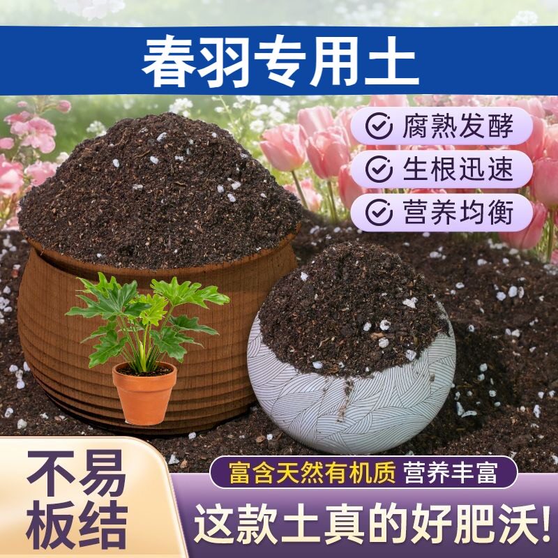 春羽专用含泥炭腐殖泥炭土保水锁肥盆栽泥炭基质天然绿叶木本进口