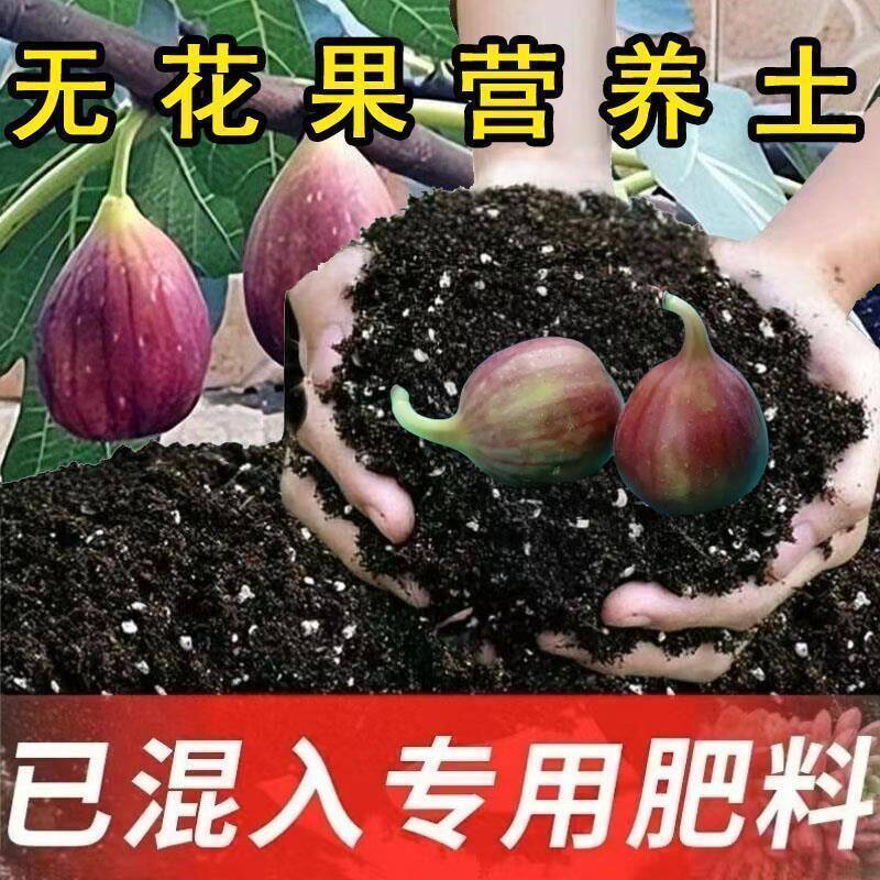 无花果专用土盆栽土无花果专用营养土养花种花土果树种植土壤肥料