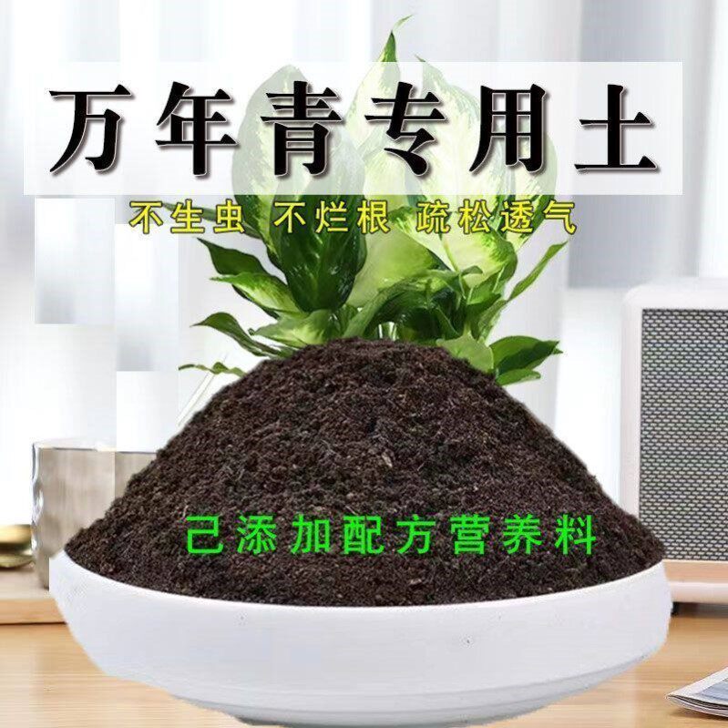 万年青专用土有机花土种花白河车营养土壤养花通用种植土透气肥料