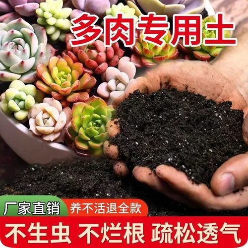多肉专用土营养土盆栽酸性透气沙质有机肥料壤绿植种植土通用肥料