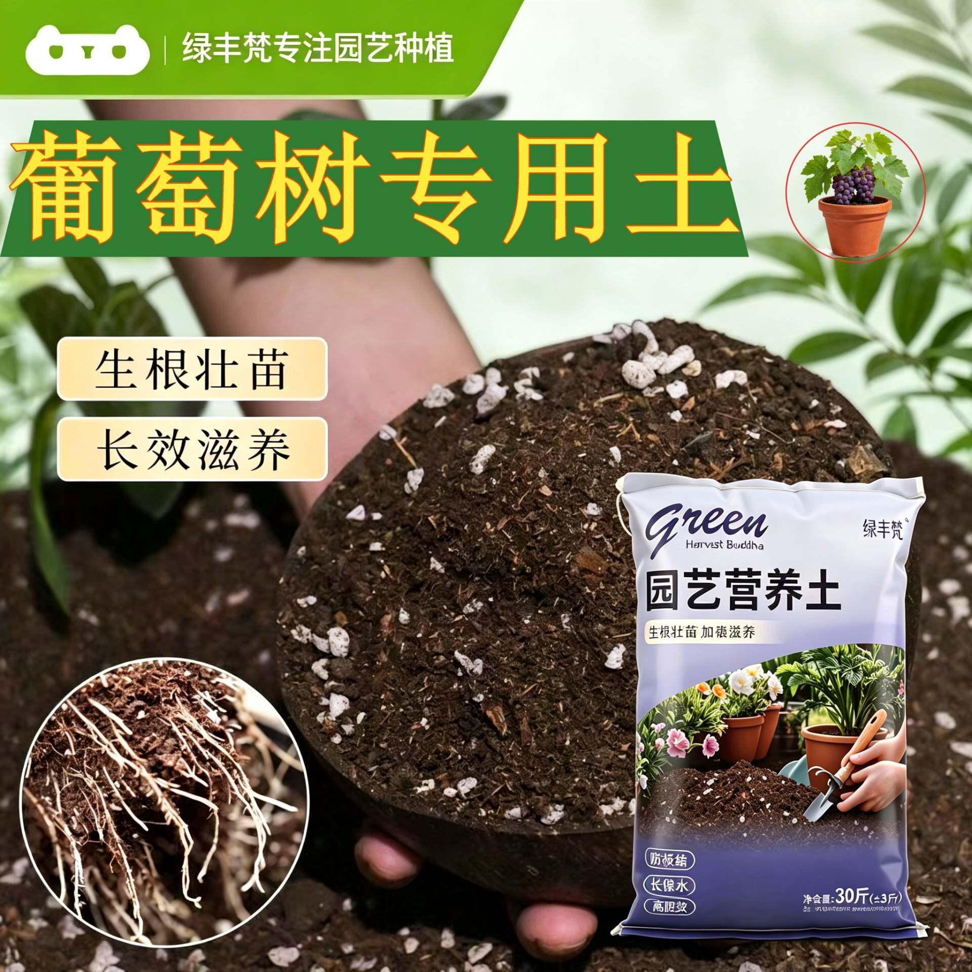 葡萄树适用泥炭土高温灭菌盆栽包邮优质防黄叶观叶进口木本腐叶土