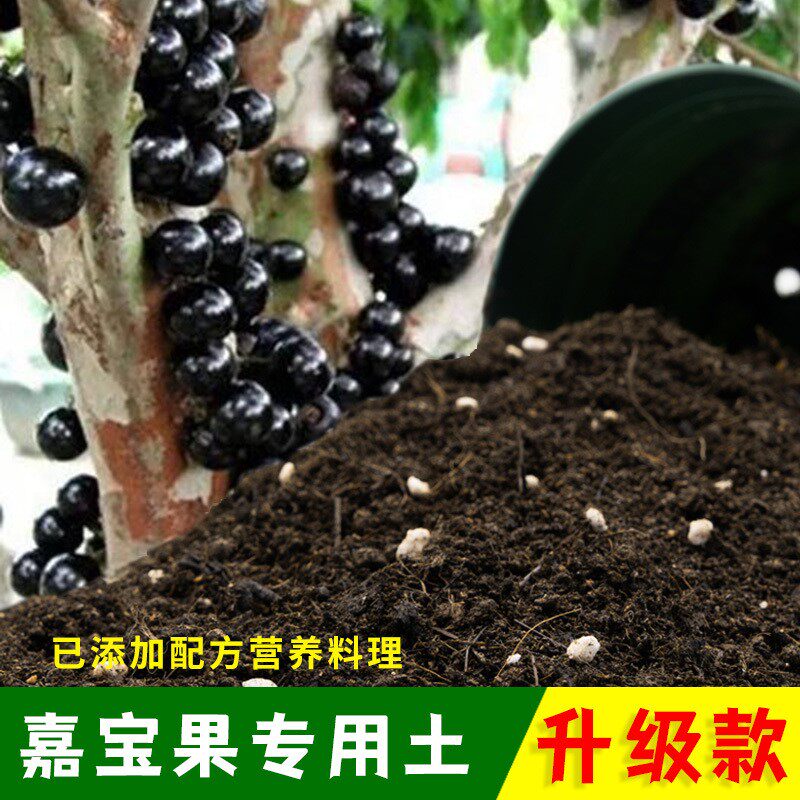 嘉宝果专用土有机土肥料家用种植土嘉宝果营养土盆栽养花通用包邮