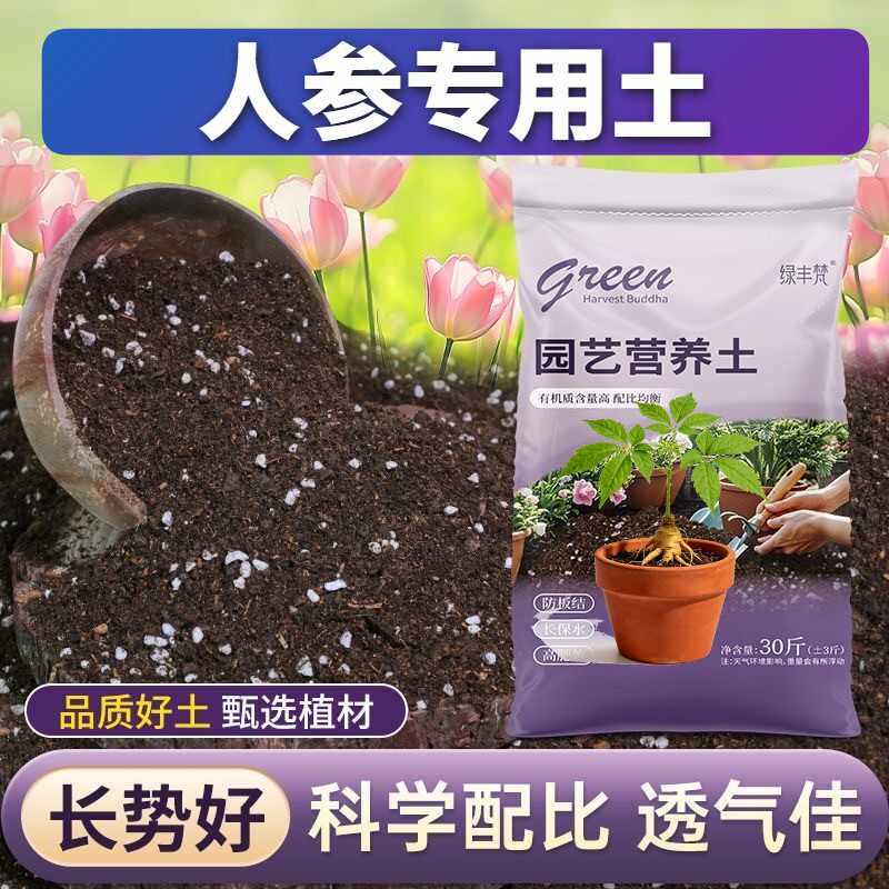 人参适用进口泥炭土根壮苗好家庭园艺大包精选防徒长木本绿叶包邮