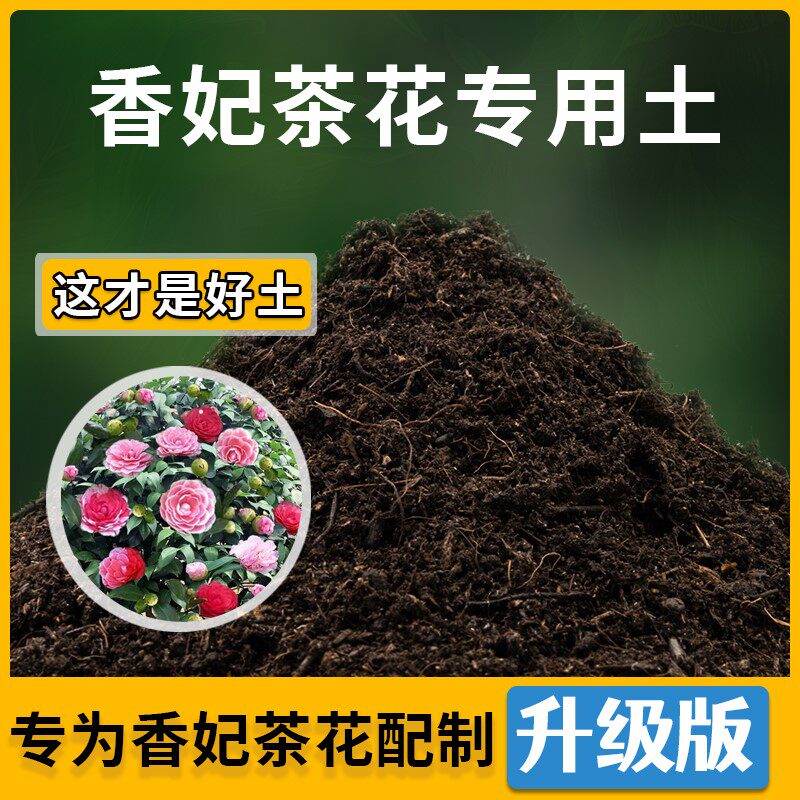 香妃茶花专用土家用种植土透气香妃茶花营养土盆栽种花养花有机土